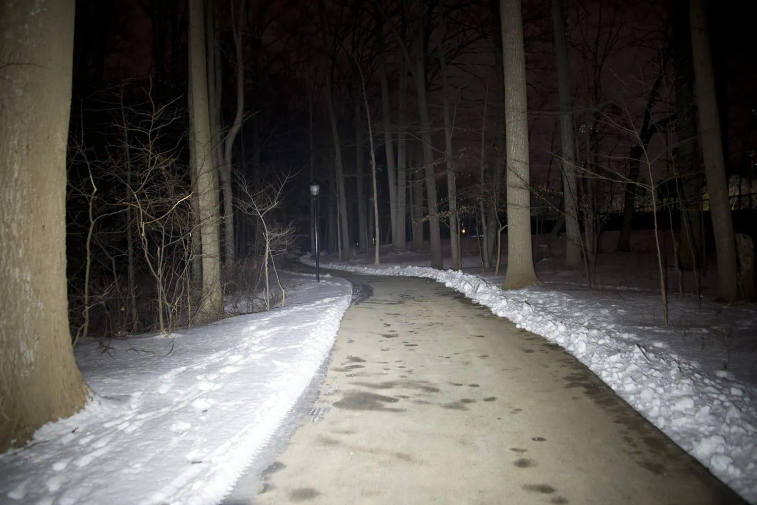 Nighttime wooded path illuminated by 900 lumens from elzetta charlie flashlight with flood lens