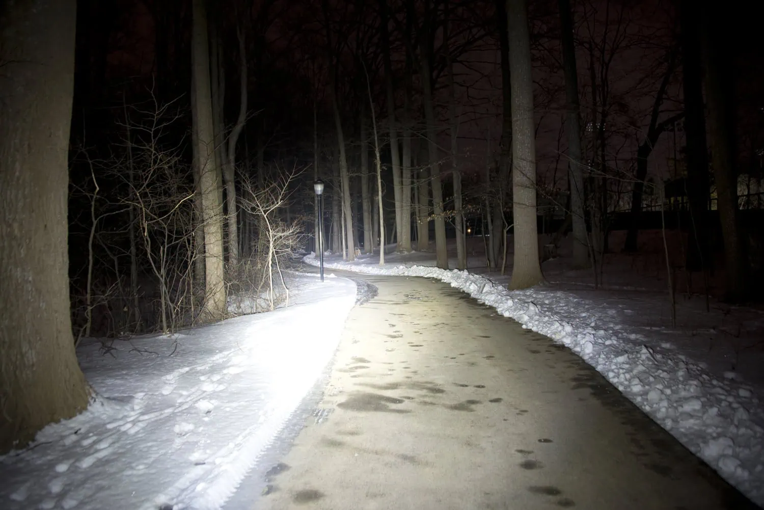 Nighttime wooded path illuminated by 900 lumens from elzetta charlie flashlight with standard lens